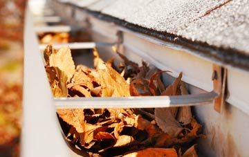 Washmere Green gutter cleaning companies