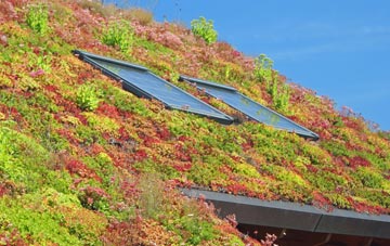 Washmere Green living roof systems