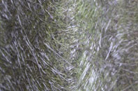 Washmere Green fibreglass roof work